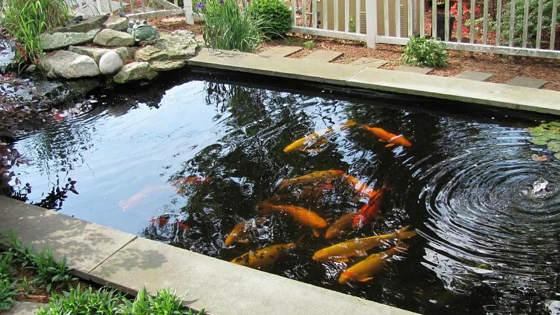 Как сделать пруд своими силами: пошаговая инструкция