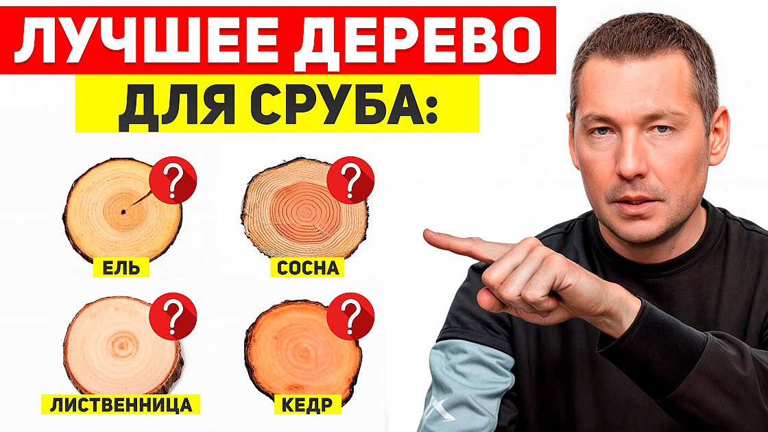 Кедр против лиственницы: Какое бревно лучше для вашей бани?