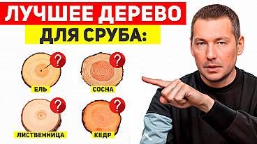 Кедр против лиственницы: Какое бревно лучше для вашей бани?