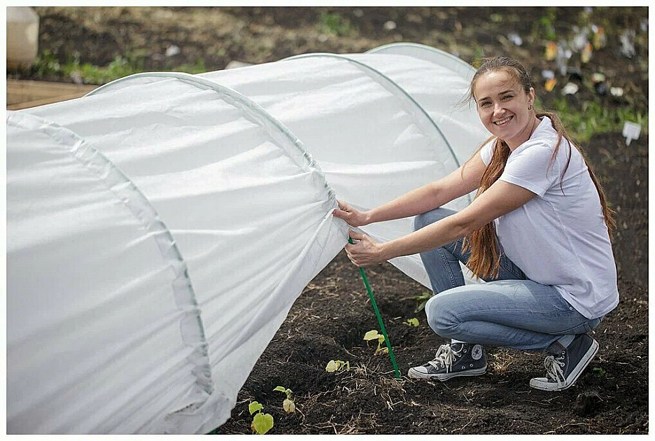 Из чего соорудить простой парник на даче