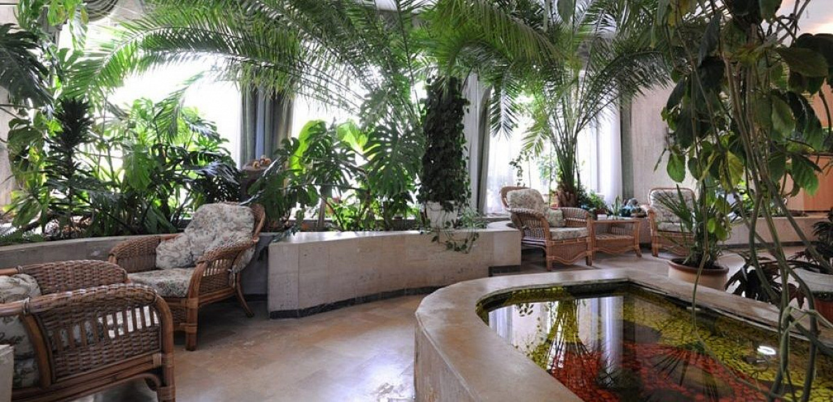 Сделать зимний сад в доме пошаговая инструкция