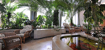 Сделать зимний сад в доме пошаговая инструкция